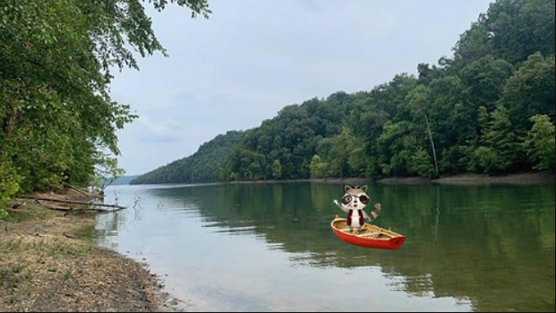 Pirates' Cove