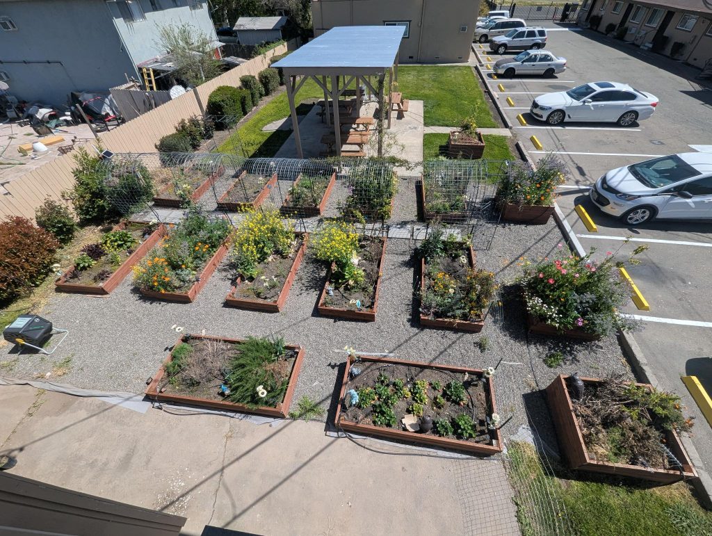 AcademySTAY Community Garden